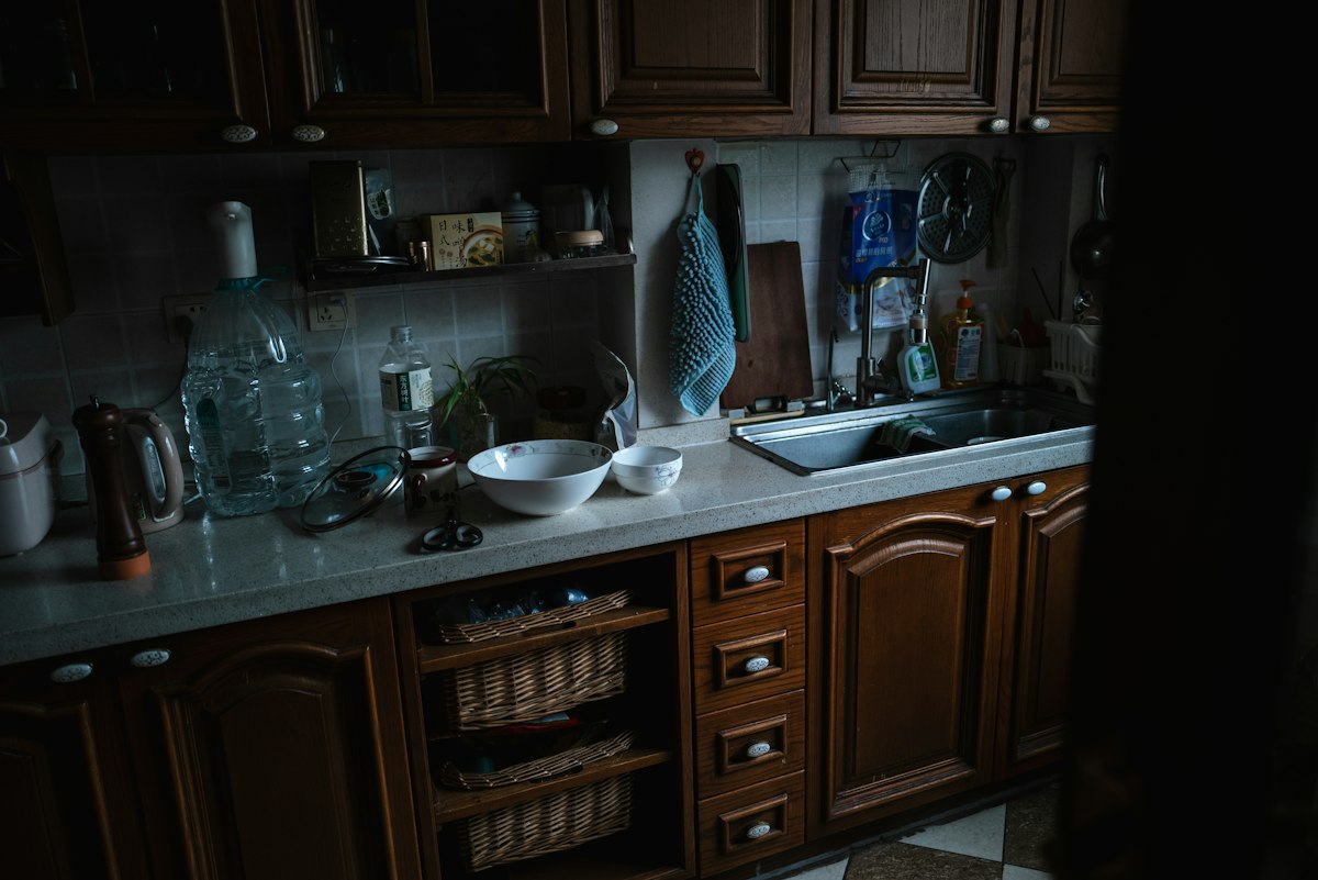Kitchen — cockroach gel treatment Gurgaon