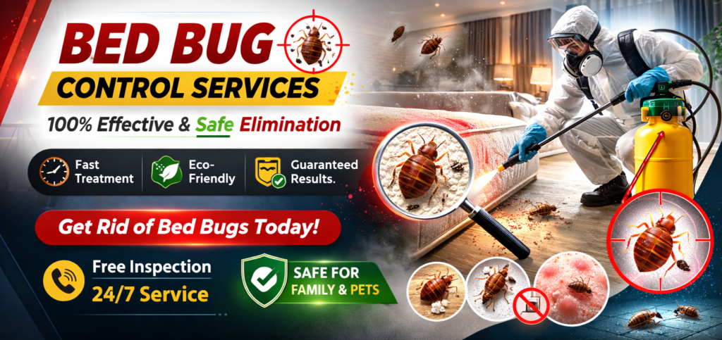 Bed Bug Control in Gurgaon