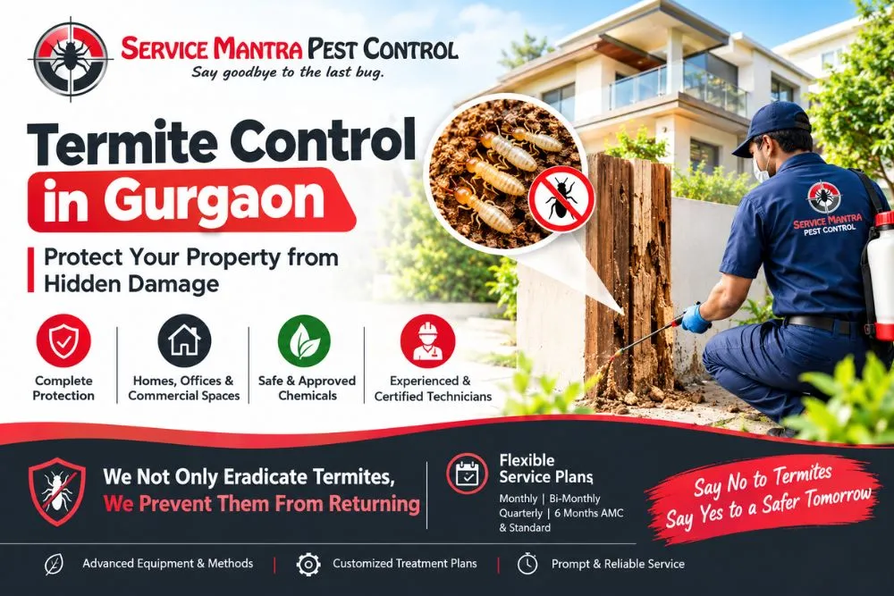 Termite Control in Gurgaon