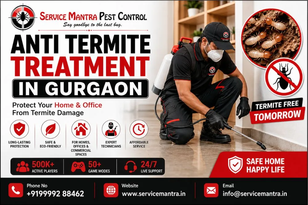 Anti Termite Treatment in Gurgaon